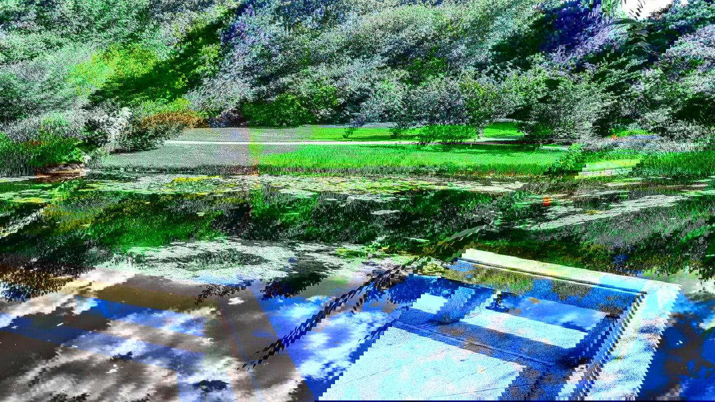 בואו לטייל בברלין דרך עדשת המצלמה • צפו