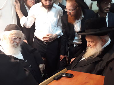 מרן הגר"ח יחד עם הגר"מ שטרנבוך, היום.