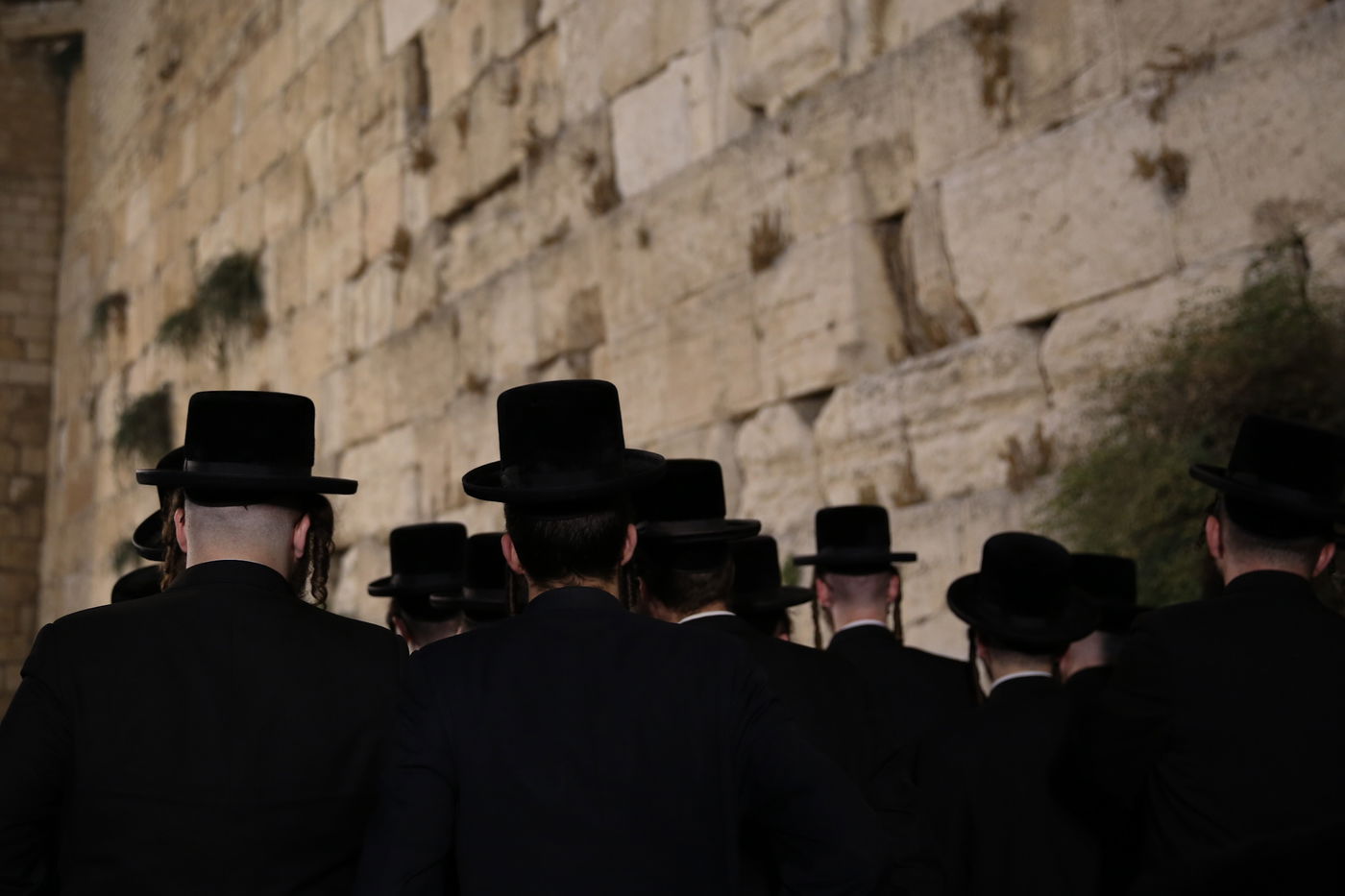 לרגל ה'יארצייט': האדמו"ר מסערט ויז'ניץ - בכותל