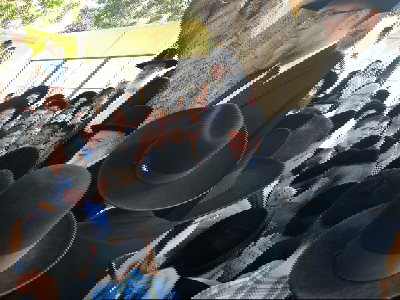 חבר 'המועצת' ביקר עם הילדים אצל הינשוף ב'פארק החי'