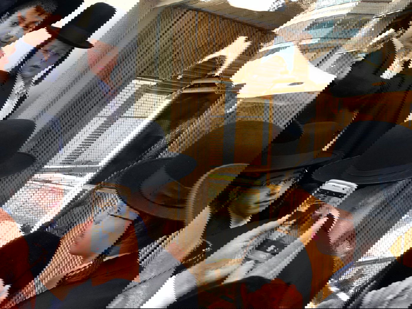 חבר 'המועצת' ביקר עם הילדים אצל הינשוף ב'פארק החי'