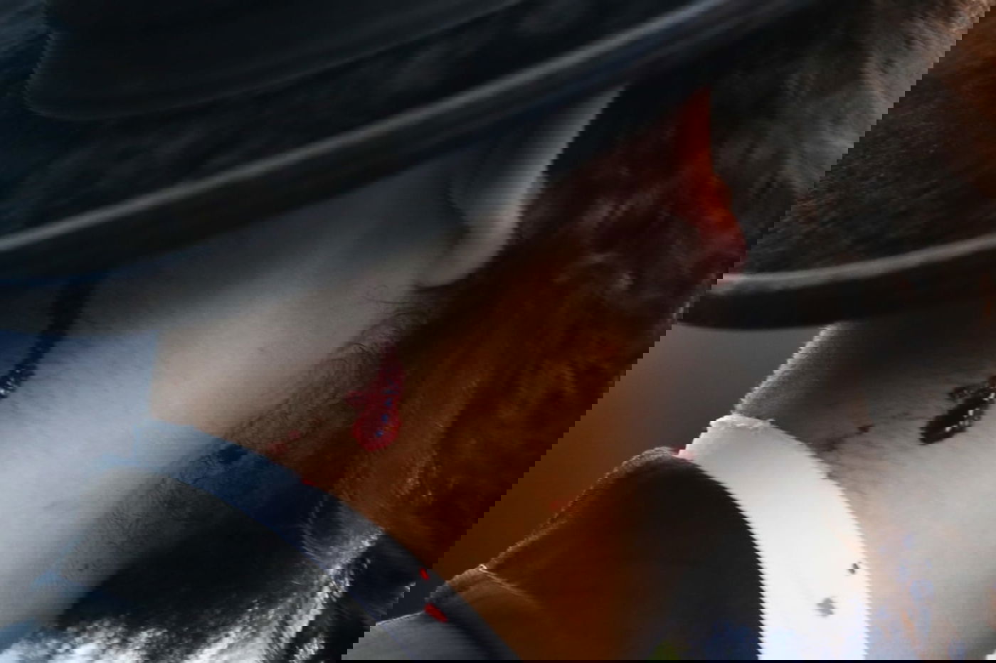 אלימות בהפגנה: צעיר חרדי פצע את המוחים עם האגרופן