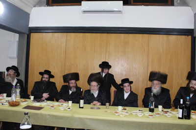 שמחת בית סטראפקוב-פרמישלאן • גלריה