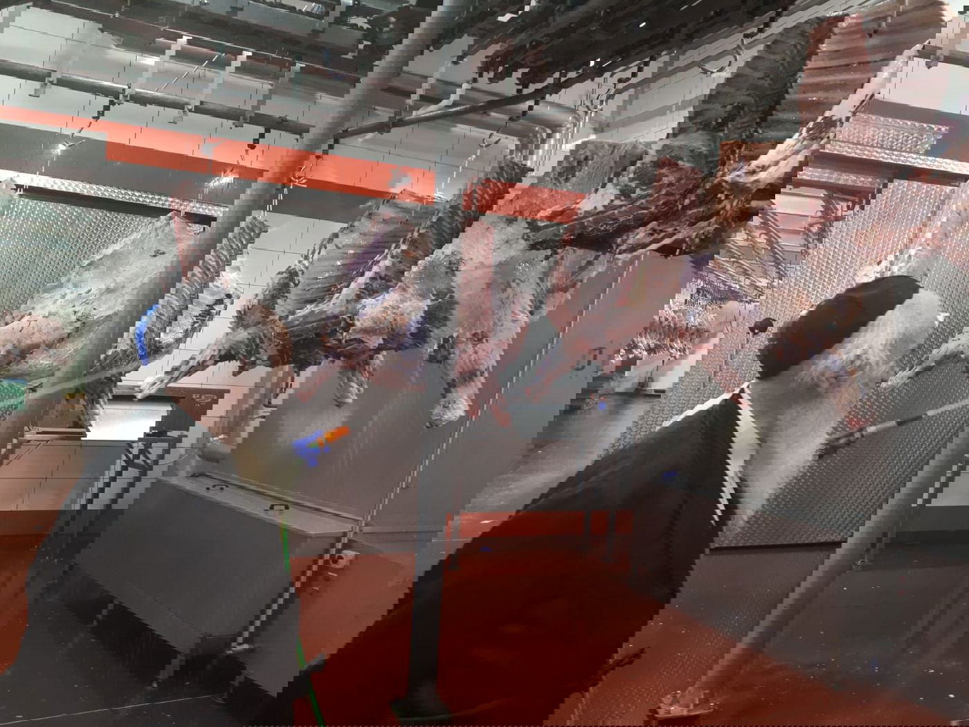 נערכים להגדלת הביקוש: הליטאים ישחטו בפולין