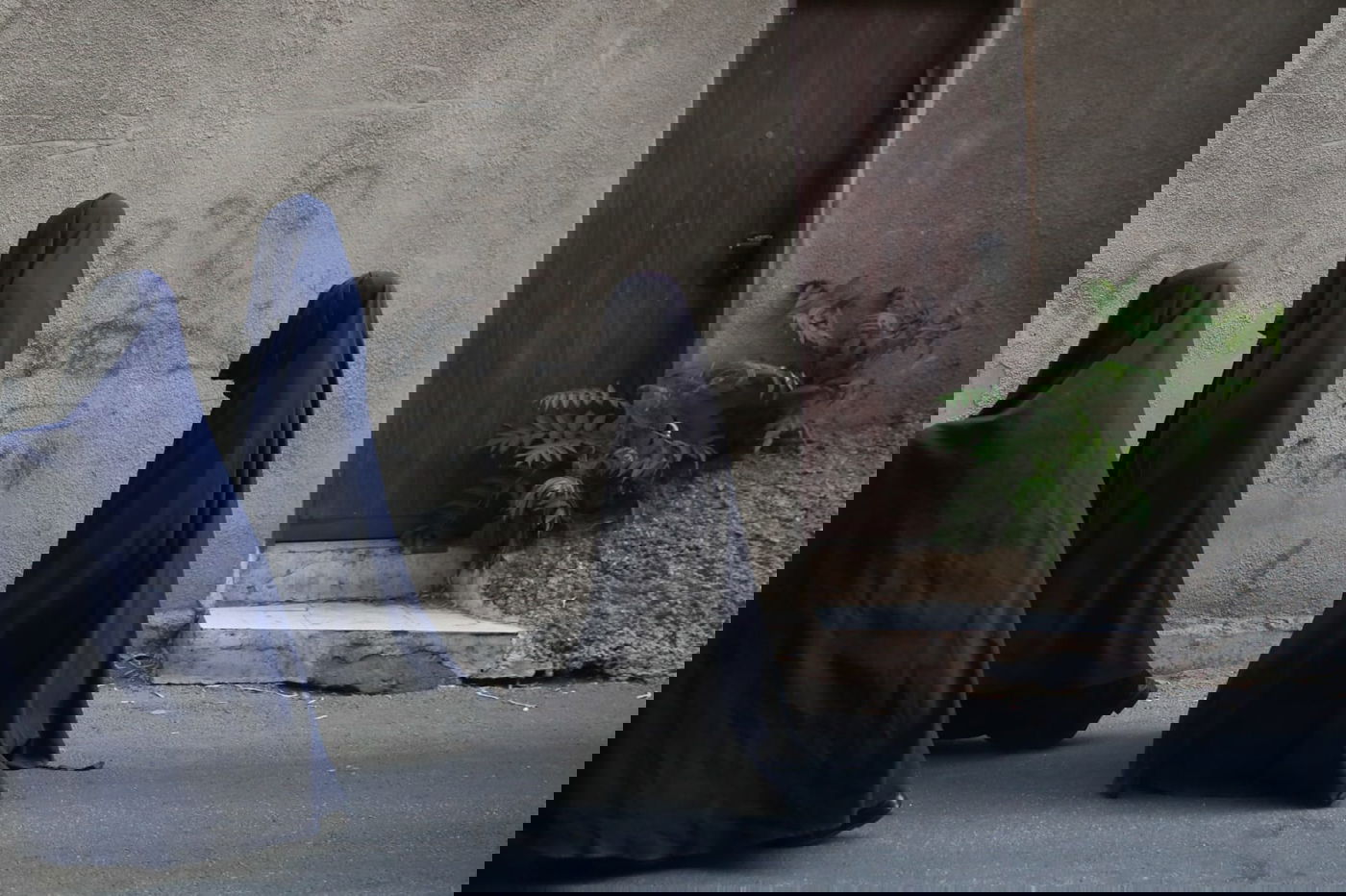 ברחובות העיר ירושלים: אם צועדת עם בנותיה ב'שאלים'