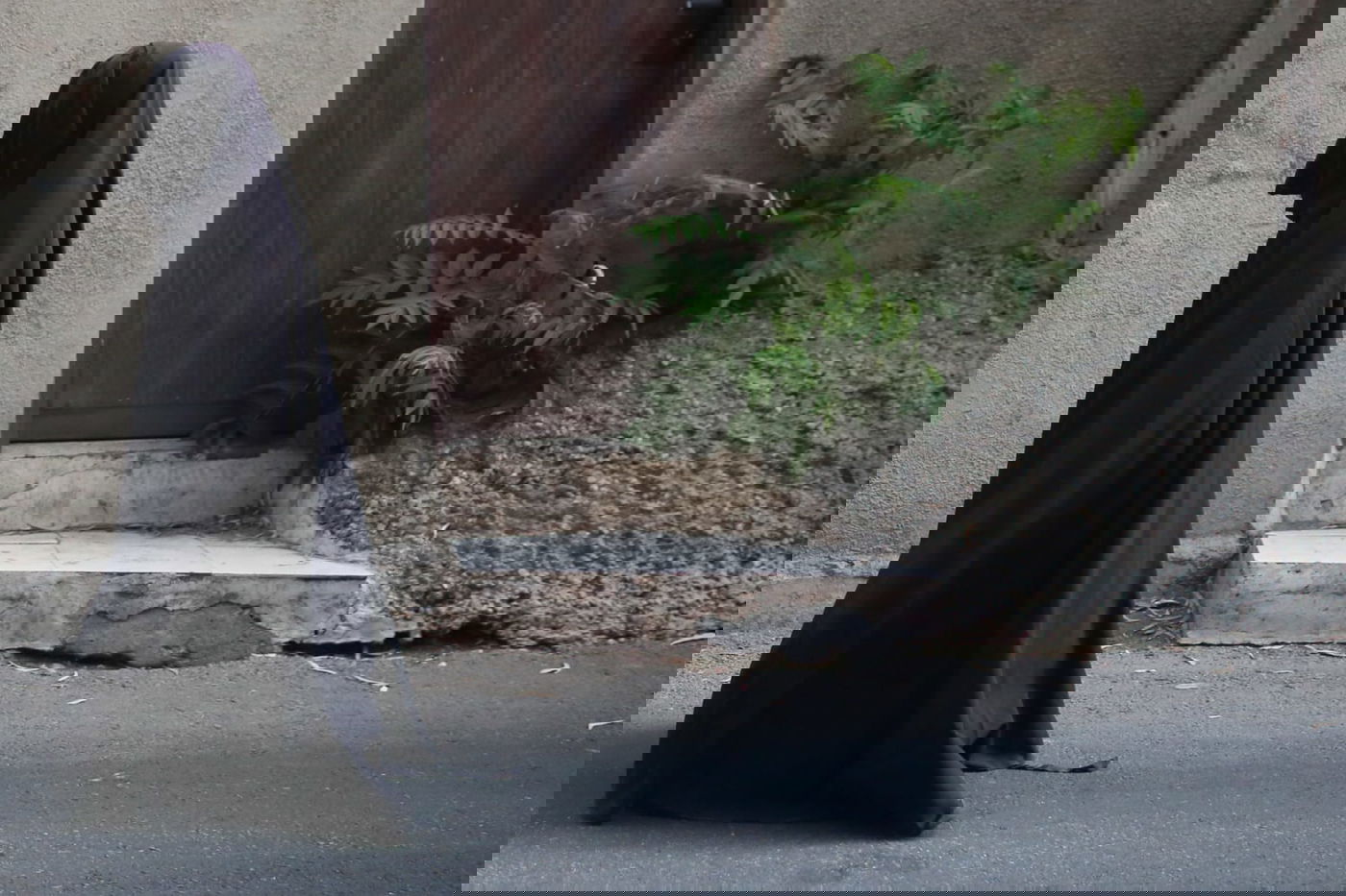 ברחובות העיר ירושלים: אם צועדת עם בנותיה ב'שאלים'