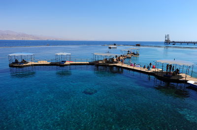 ריף הדולפינים באילת