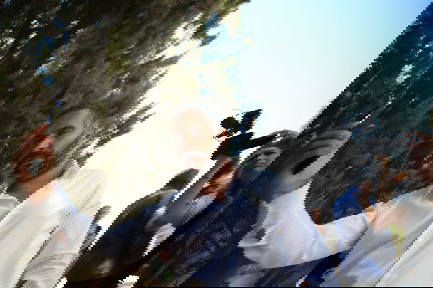 קובי השבוע, בבג"צ