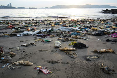 אילוסטרציה