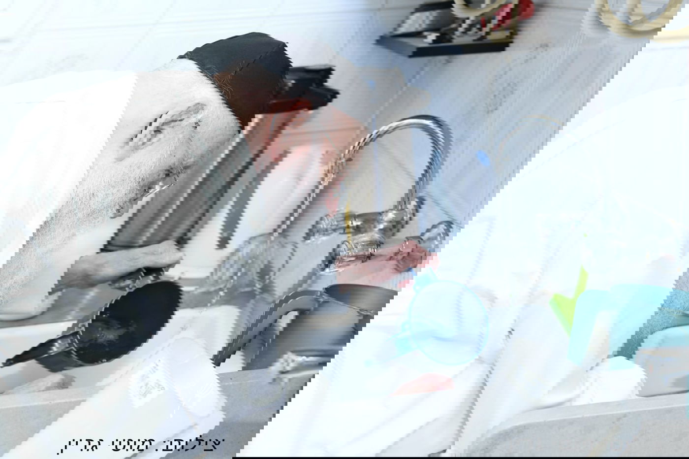 מיוחד: יום בחיי הגאון רבי מאיר גריינמן • צפו