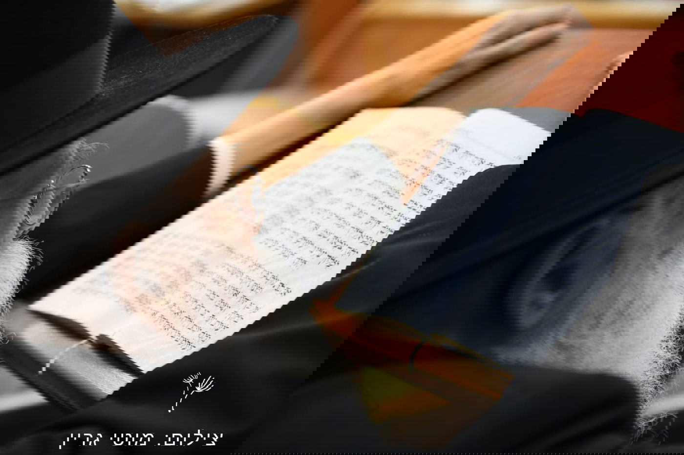 מיוחד: יום בחיי הגאון רבי מאיר גריינמן • צפו