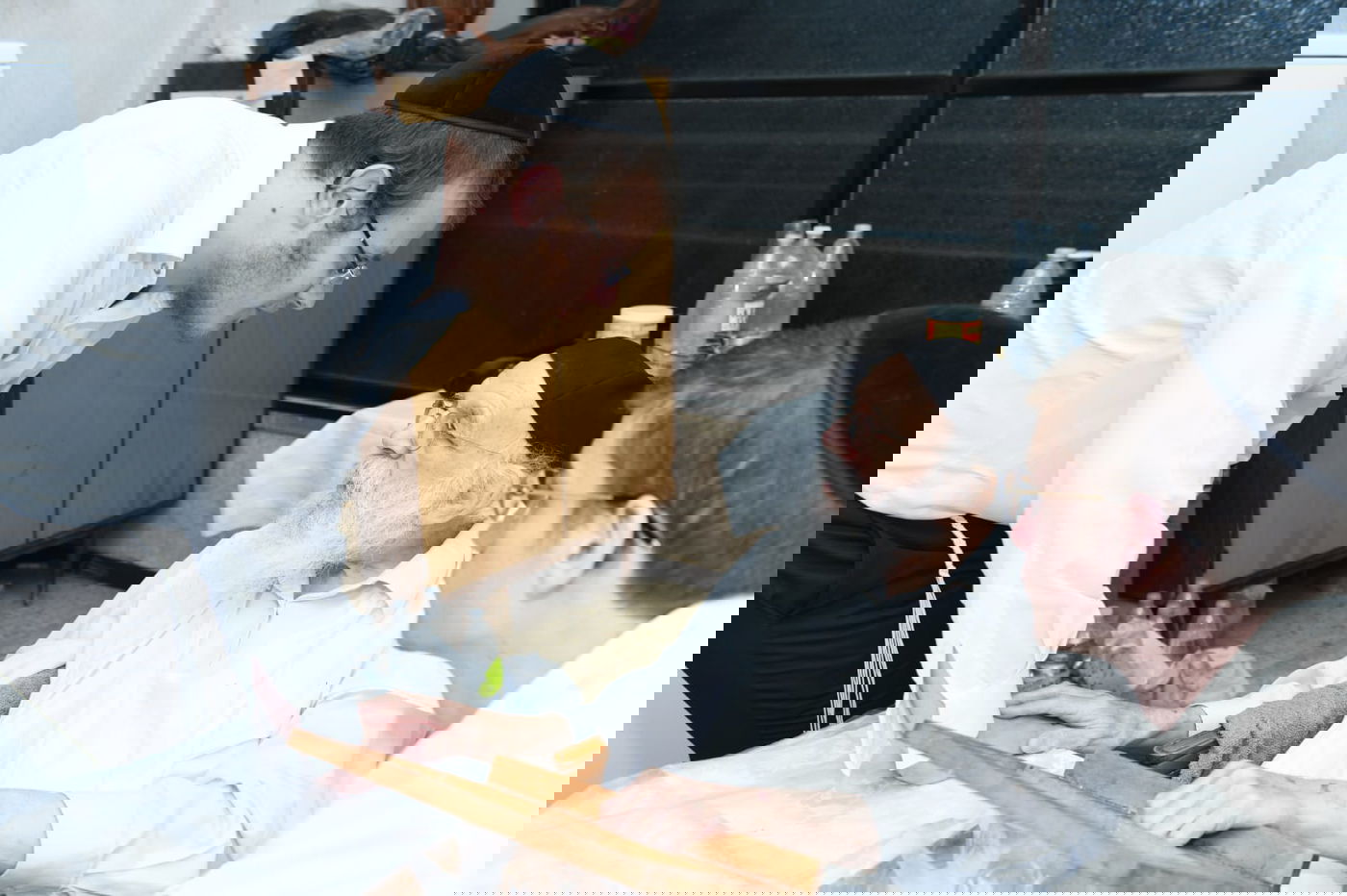 מיוחד: יום בחיי הגאון רבי מאיר גריינמן • צפו