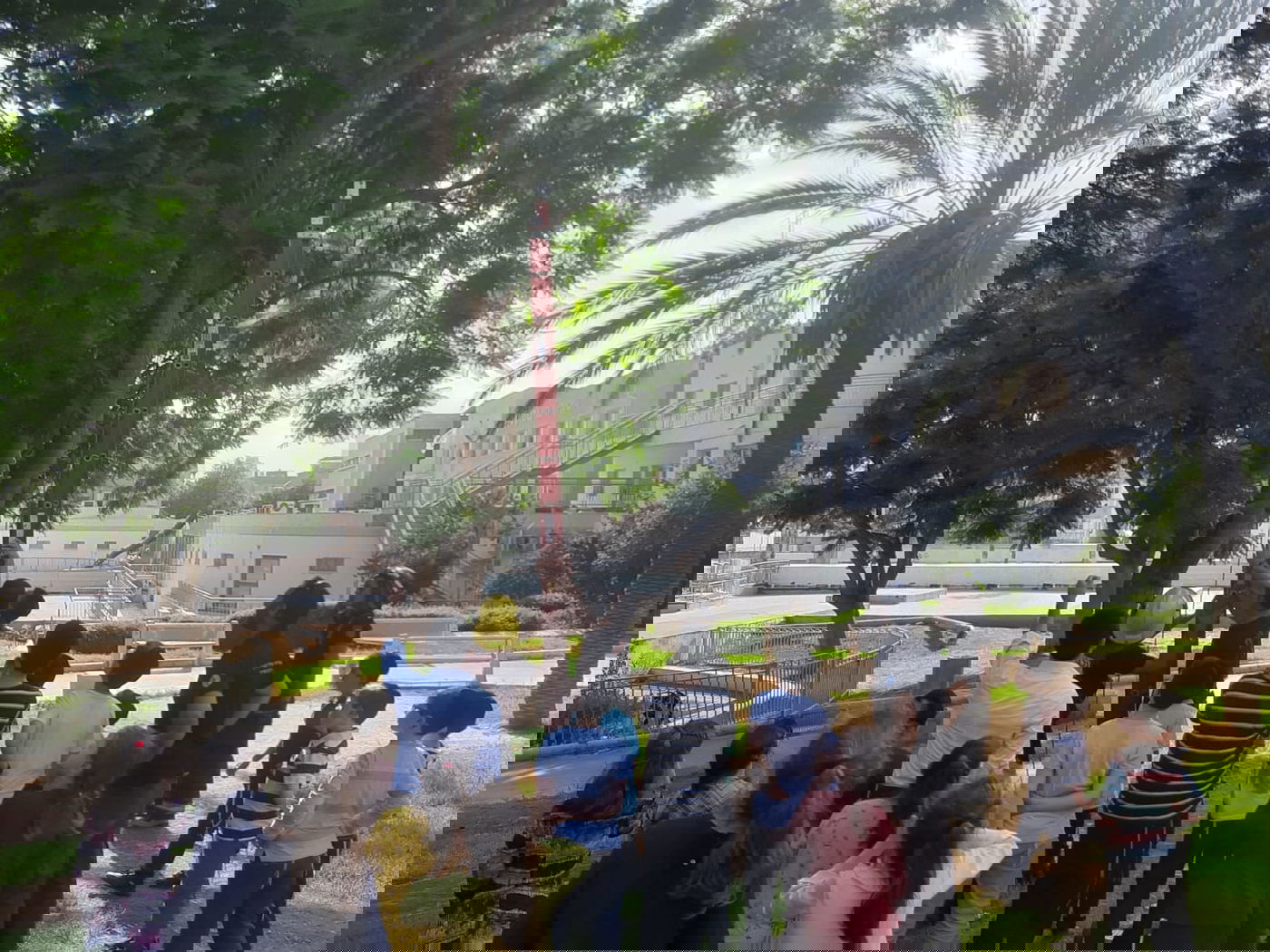 צפו: הכבאים חילצו את היונה שנתקעה בעץ