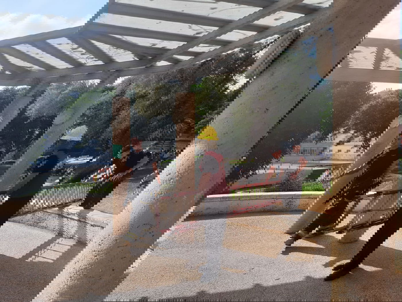 צפו: הכבאים חילצו את היונה שנתקעה בעץ