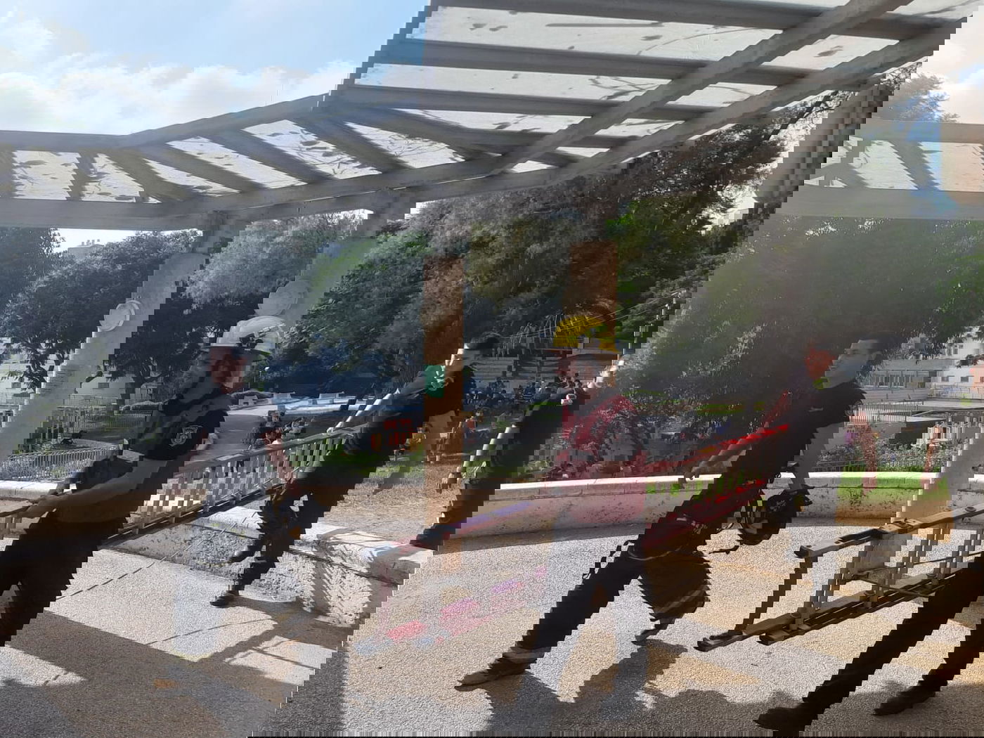 צפו: הכבאים חילצו את היונה שנתקעה בעץ