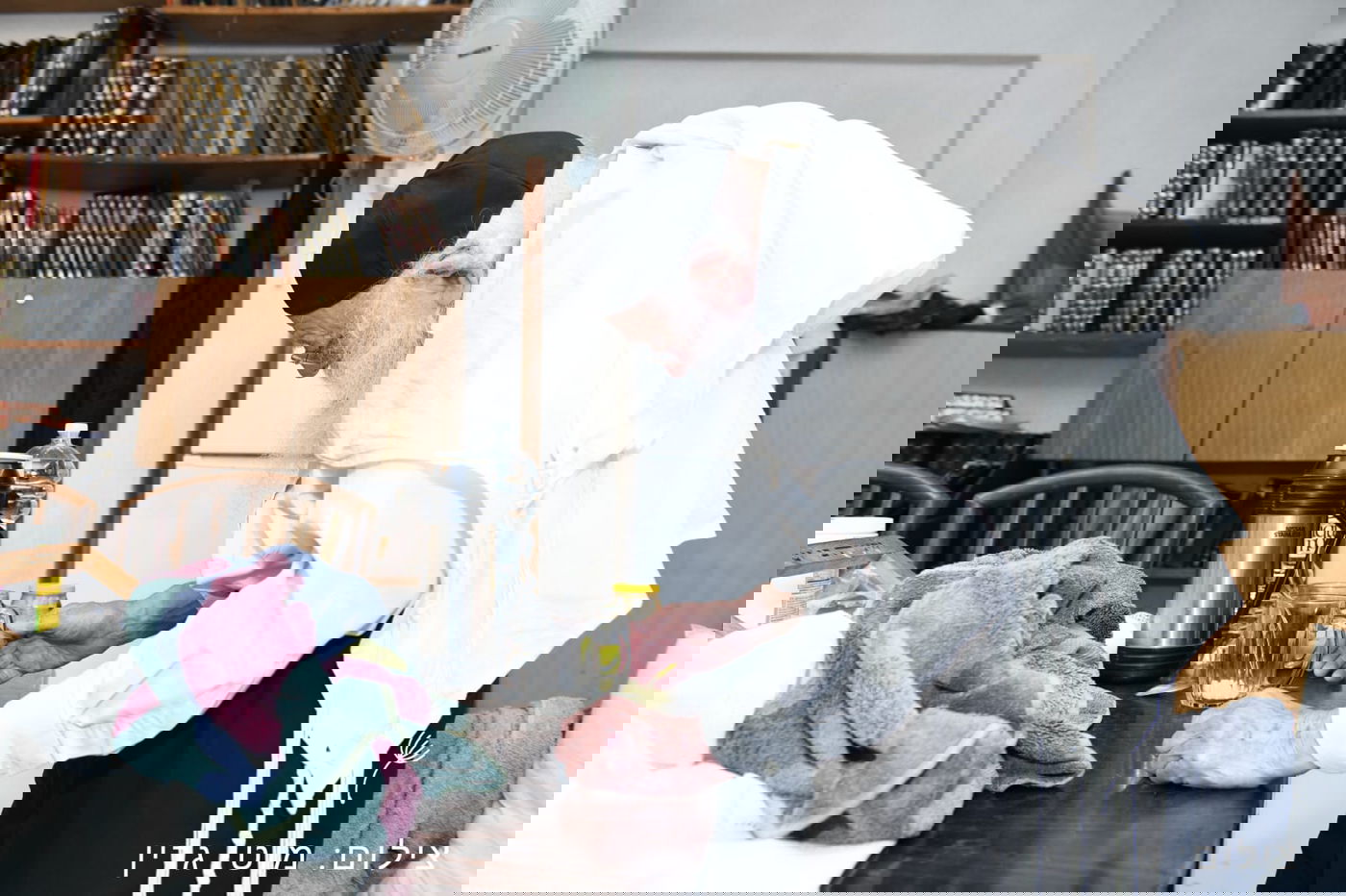 מיוחד: יום בחיי הגאון רבי מאיר גריינמן • צפו