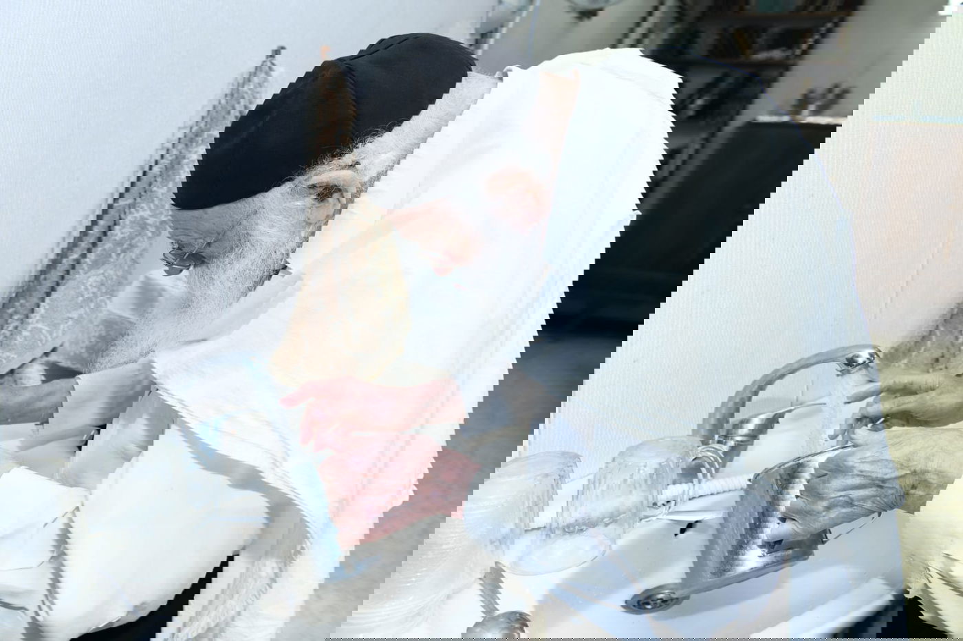 מיוחד: יום בחיי הגאון רבי מאיר גריינמן • צפו