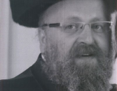 אלתר חיים מייזליש, ה'סרבן'