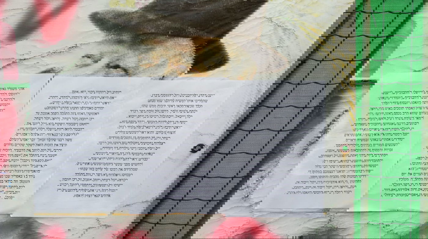 כתובות גרפיטי נגד חב"ד על בית הכנסת הגדול בבת ים