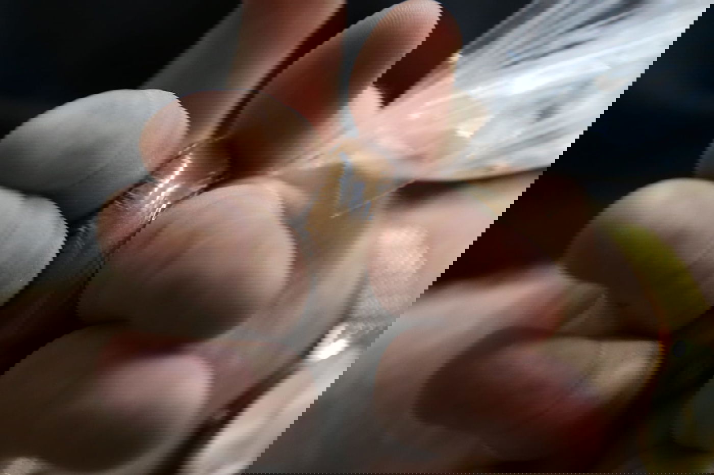 ערב הצום: כך מכינים את ה'טבק' להרחה