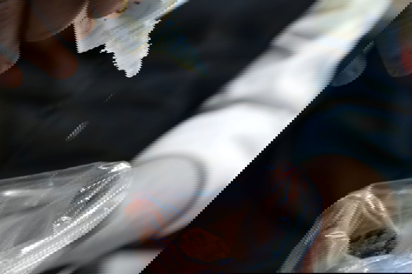 ערב הצום: כך מכינים את ה'טבק' להרחה