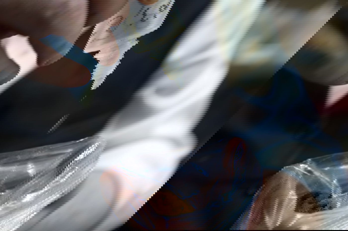 ערב הצום: כך מכינים את ה'טבק' להרחה