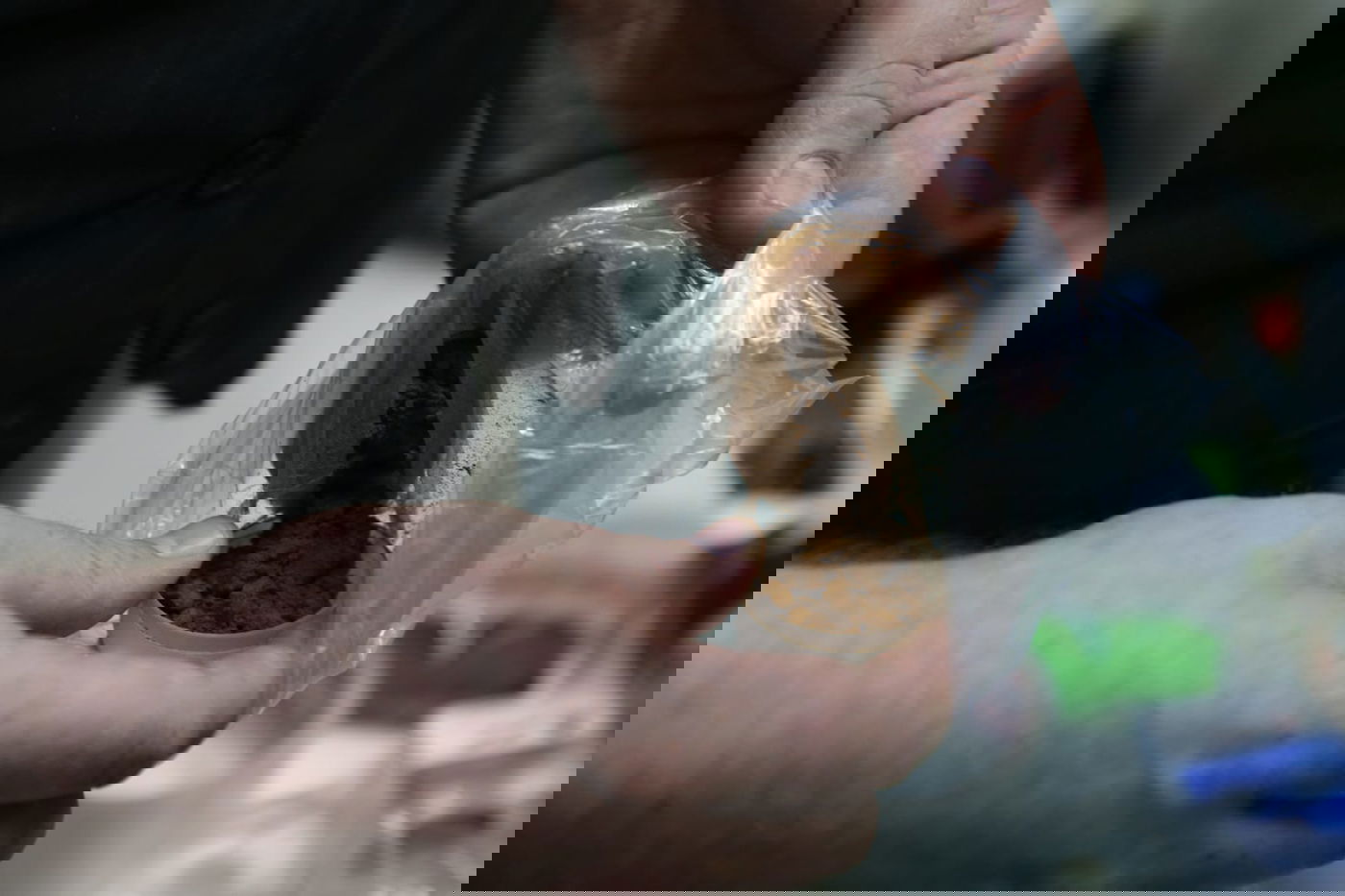 ערב הצום: כך מכינים את ה'טבק' להרחה