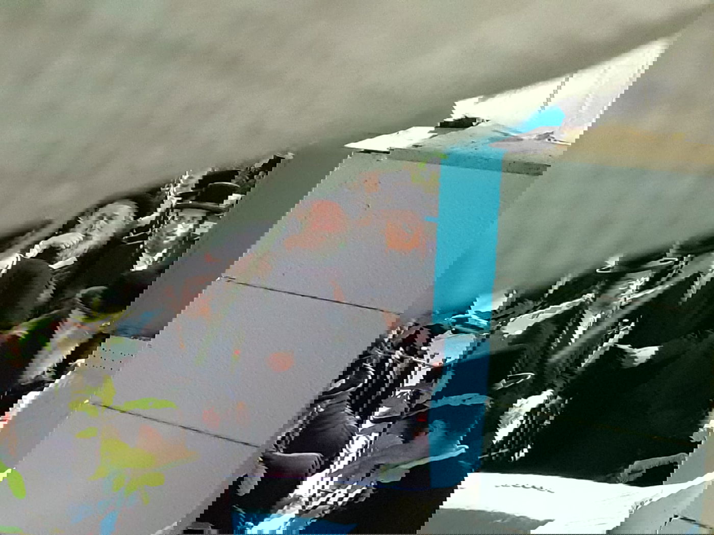 האדמו"ר מנדבורנה-י"ם בקברי צדיקים בצפון