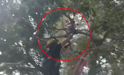 ילד בן 10 נתקע על עץ בגובה 10 מטר • צפו בחילוץ