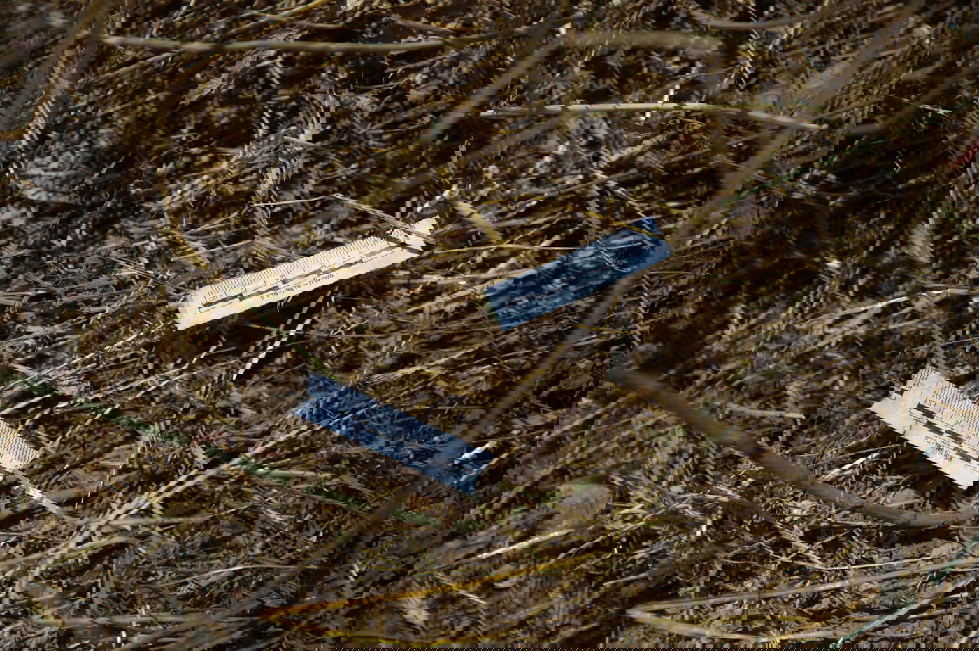 תיעוד מהזירה: חיילי צה"ל בסריקות בשטח