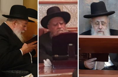 צפו בתיעוד: הראשונים לציון בקריאת קינות