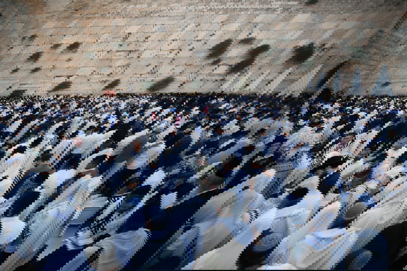 תשעה באב בכותל המערבי: אלפים בתפילת 'שחרית' • תיעוד