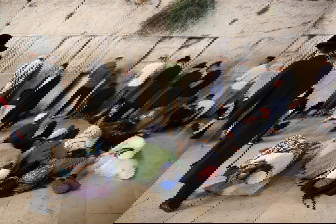 תשעה באב בכותל המערבי: אלפים בתפילת 'שחרית' • תיעוד