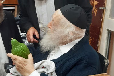 לקראת ט"ו באב: מרן שר התורה בחן אתרוג