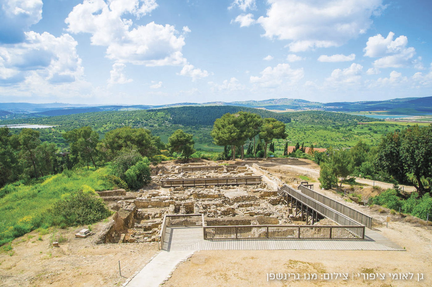 אתר ציפורי הקדום