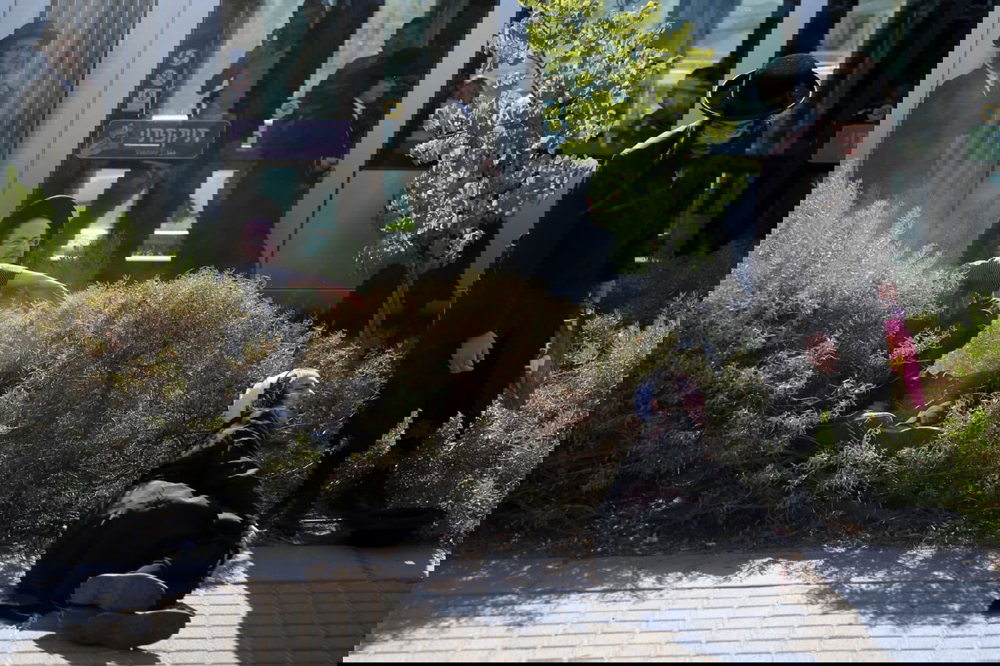 זקני ירושלים צעדו בתוך כלובי ברזל; הצעירים חסמו כבישים