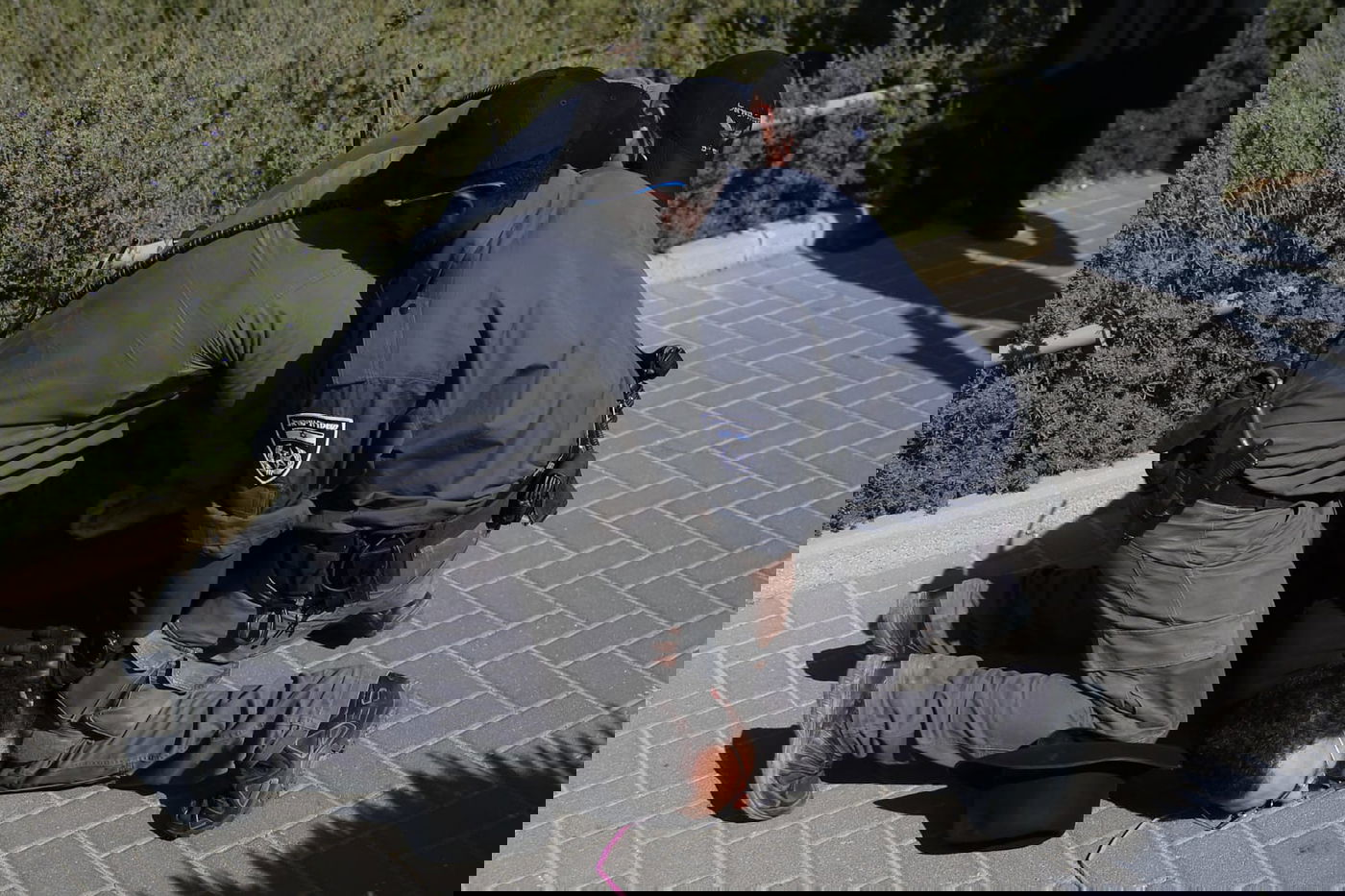 זקני ירושלים צעדו בתוך כלובי ברזל; הצעירים חסמו כבישים