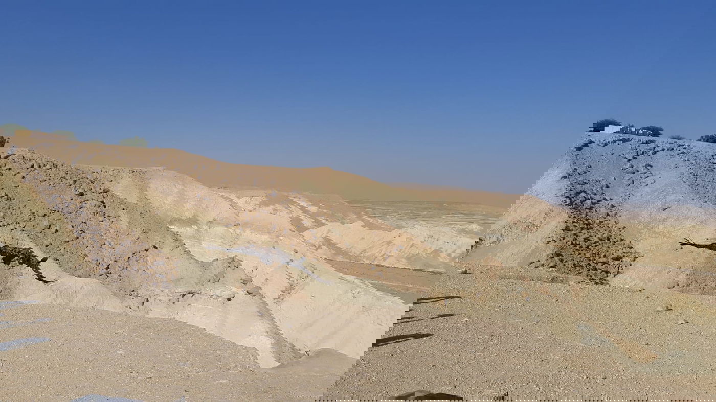 הנשר שהורעל הוחזר אל הטבע. צפו בתיעוד