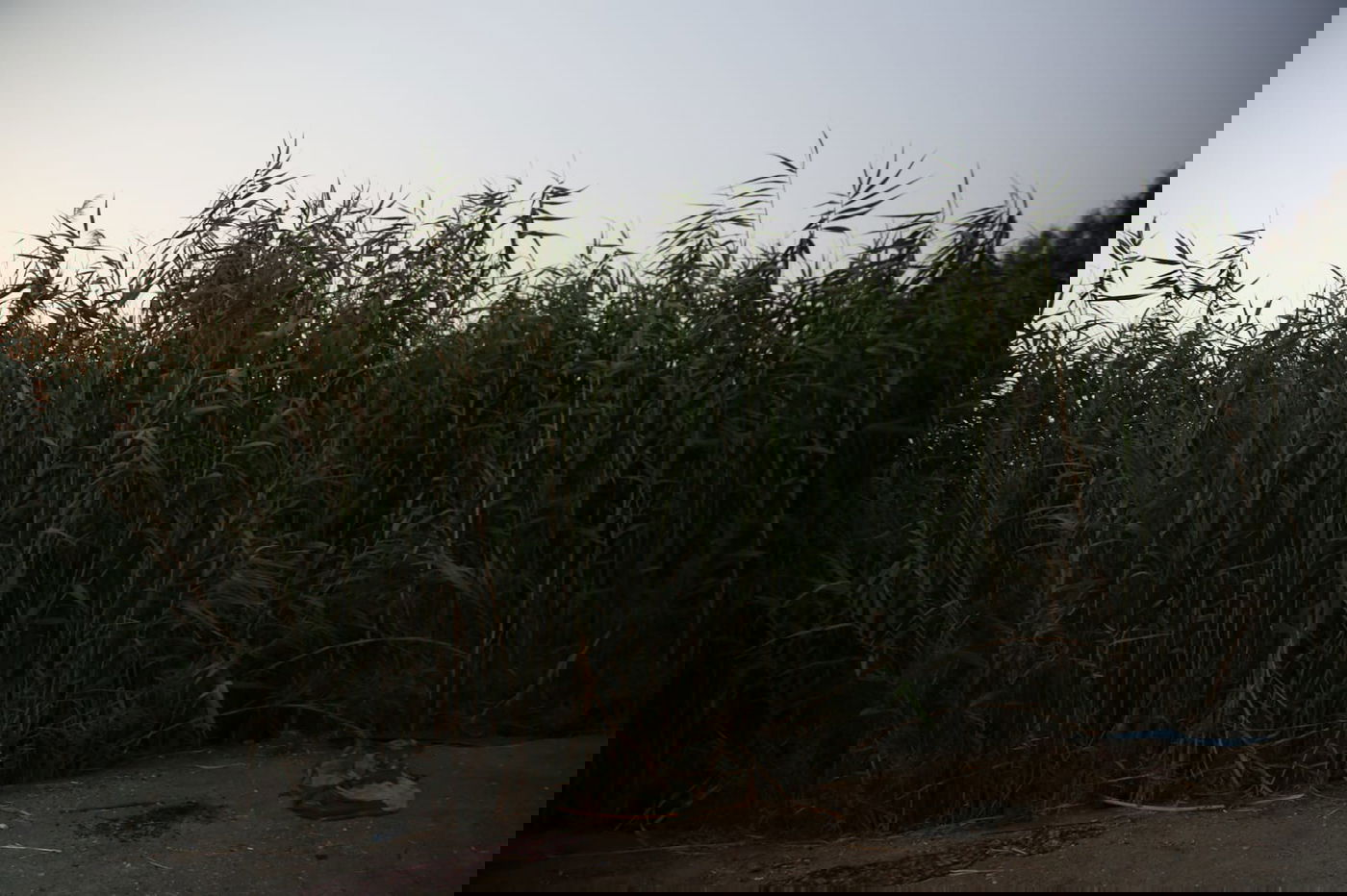 תיעוד נפלא: זריחת השמש בים המלח • צפו