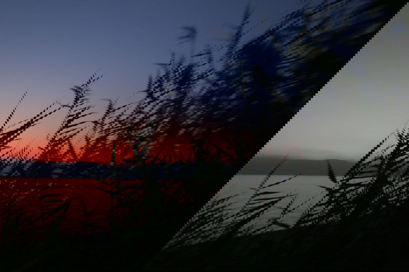 תיעוד נפלא: זריחת השמש בים המלח • צפו