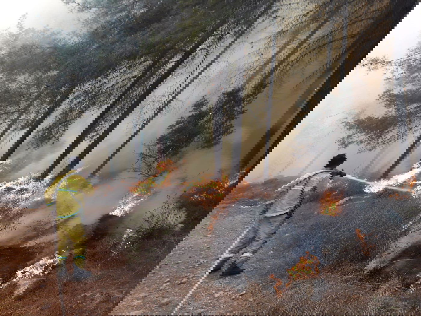 שריפת ענק במורדות הרי ירושלים • תיעוד