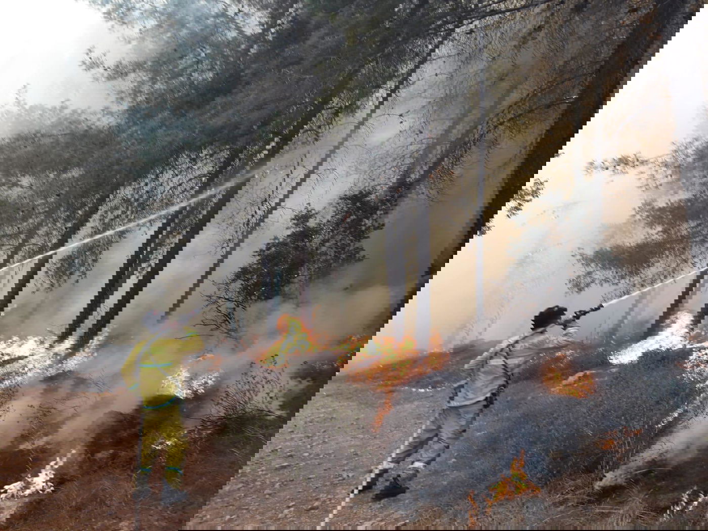 שריפת ענק במורדות הרי ירושלים • תיעוד