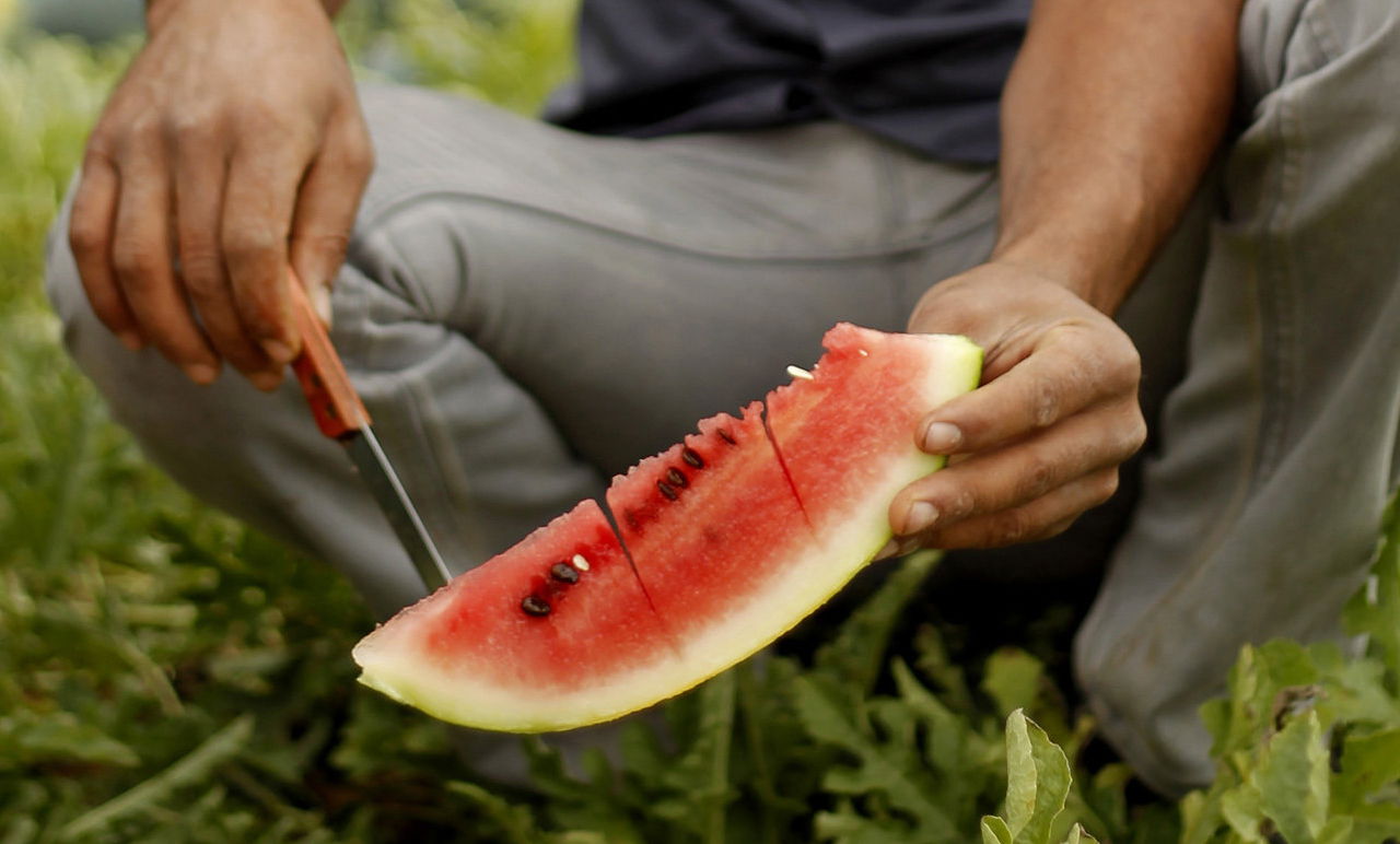 אילוסטרציה