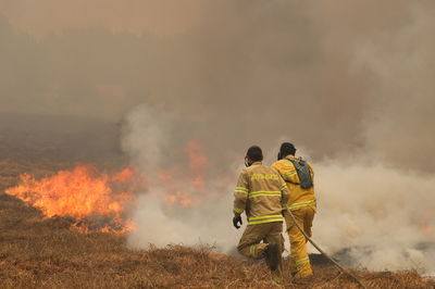 אילוסטרציה