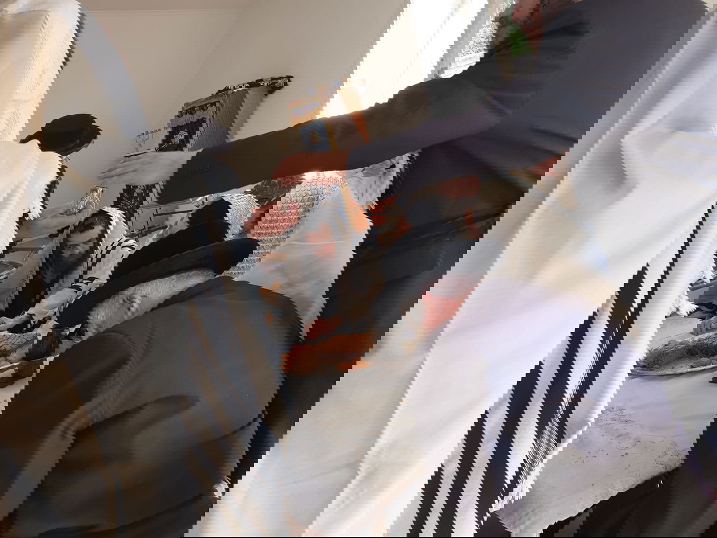 האדמו"ר מתולדות אברהם יצחק במעמד 'לחיים' • תיעוד