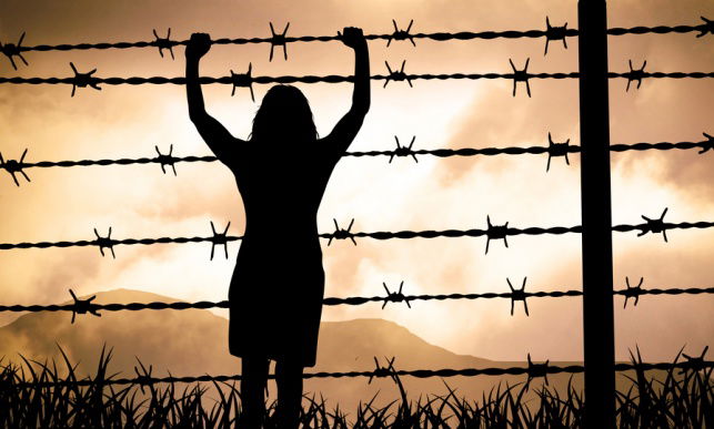 אילוסטרציה