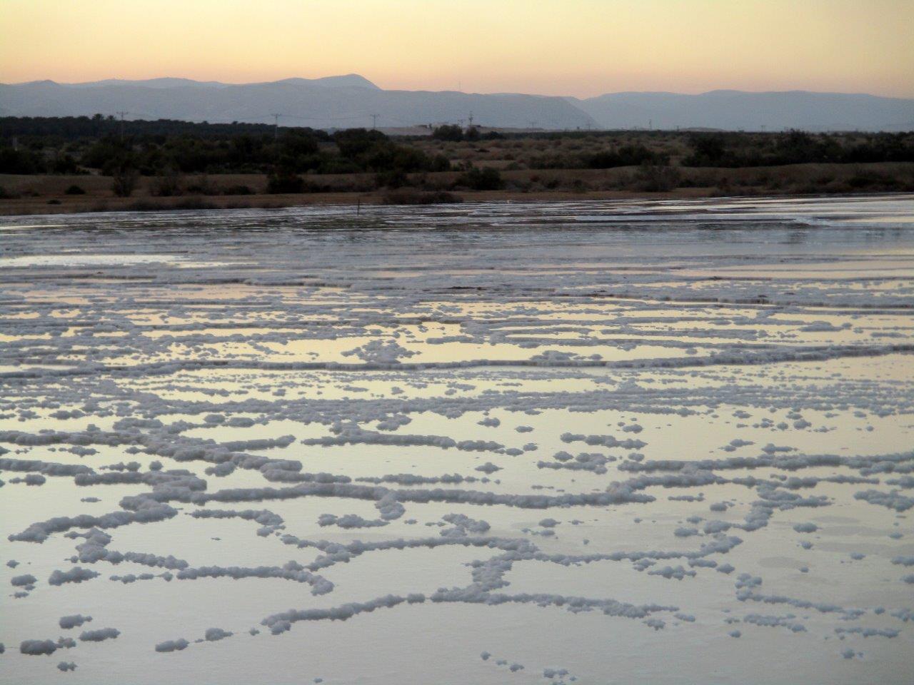 טיול למדבר יהודה דרך עדשת המצלמה