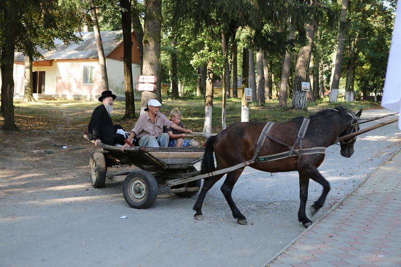 מרגש: האדמו"ר מויז'ניץ סנדק באוקראינה