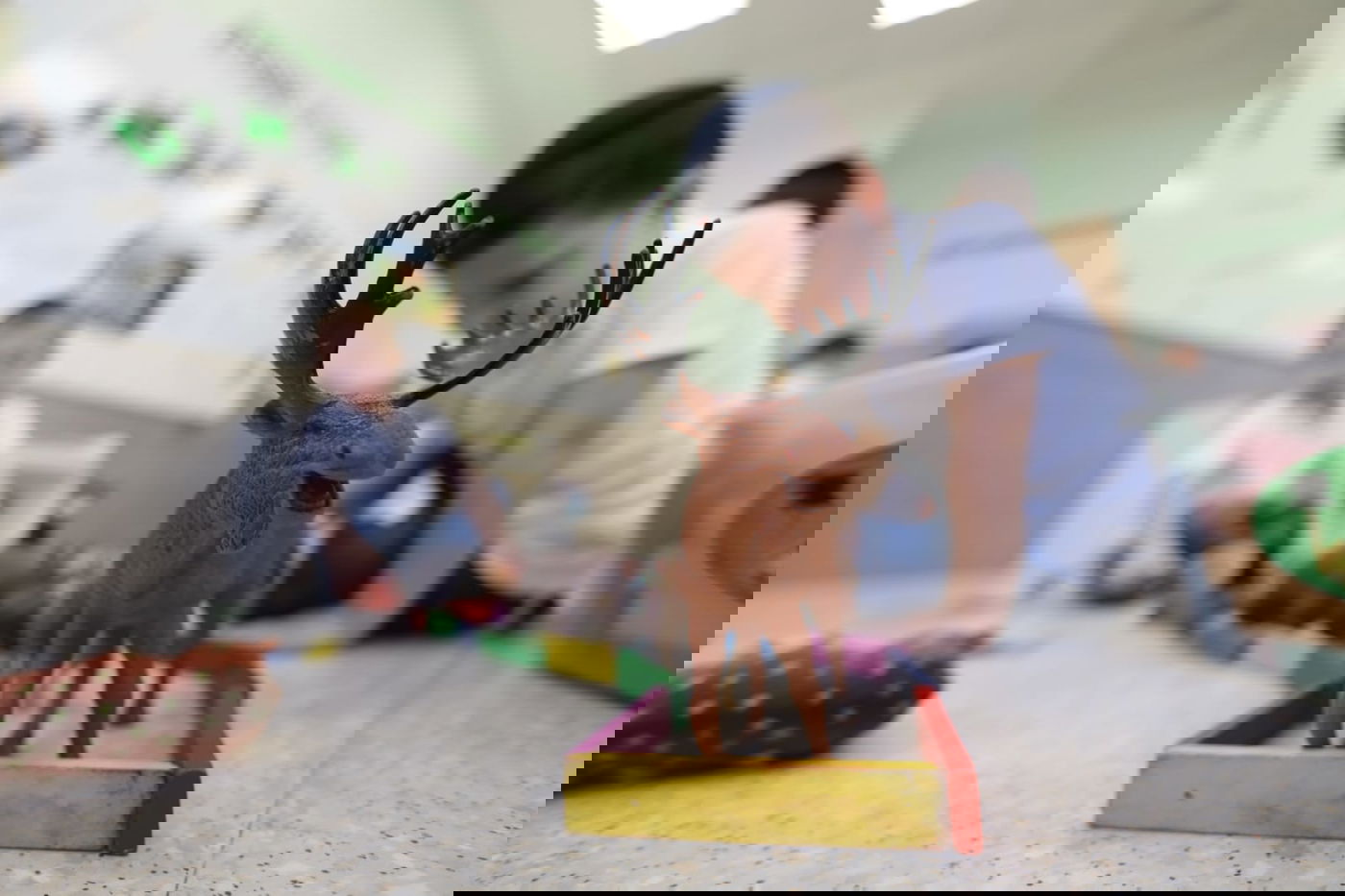 פתח תקווה: חנוכת הבית לתלמוד תורה 'דרך ישרים'