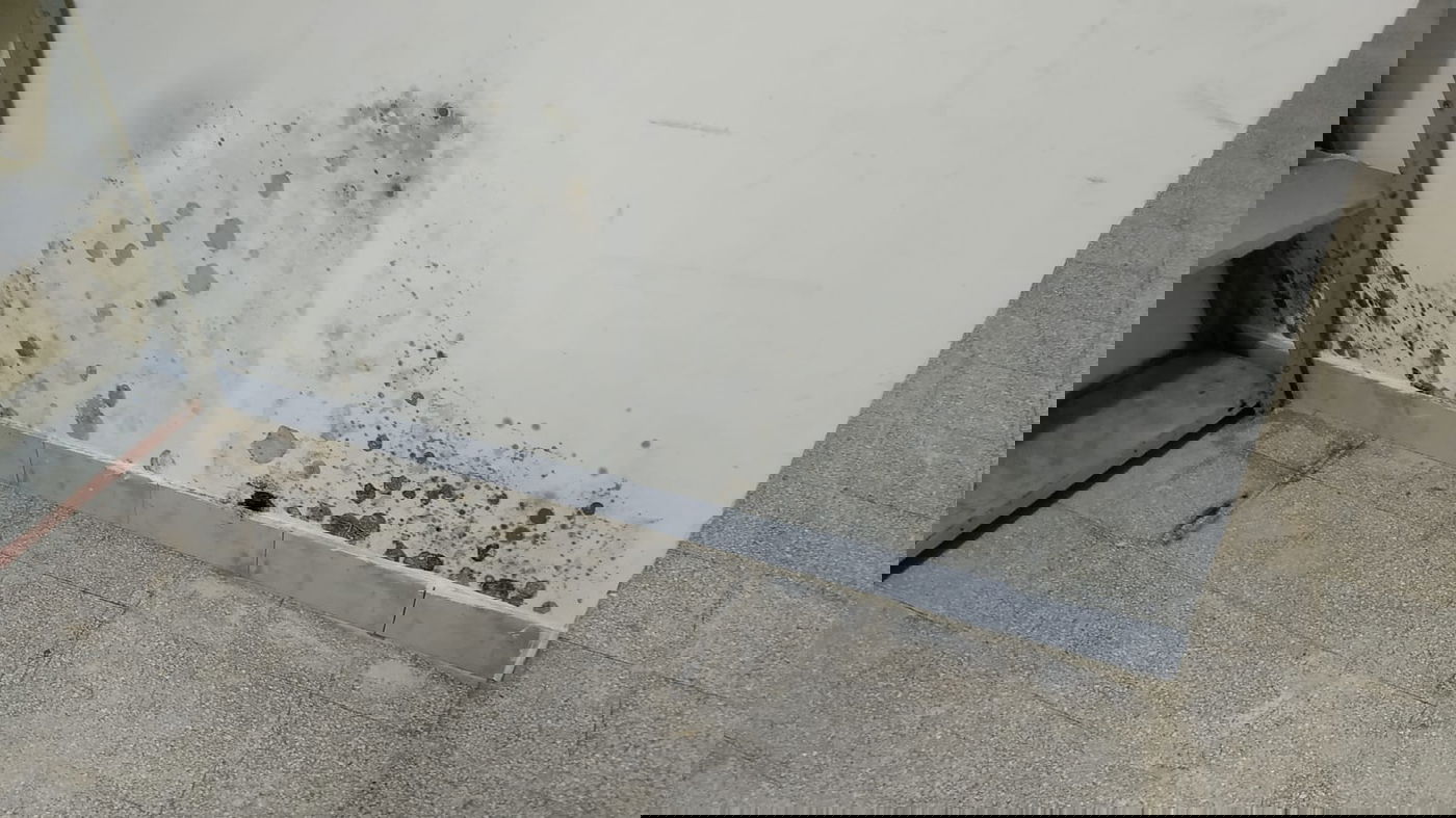 זעם בתלמוד תורה: "קירות מתקלפים ורצפות שבורות"